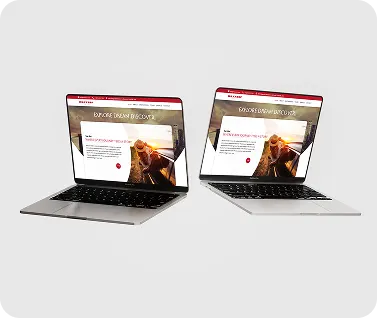 CMS website development services by WebPartners